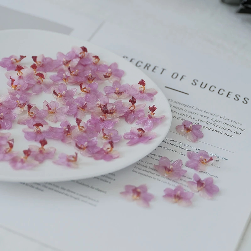 DIYジュエリー 天然ピンク樹脂蘭キット 手作りイヤリング  - Jewelry Making Event のレビューと価格